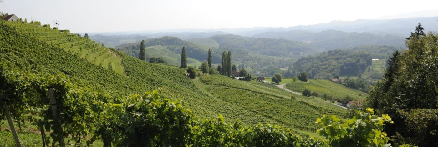 Ferienhaus mieten Österreich am Weinberg